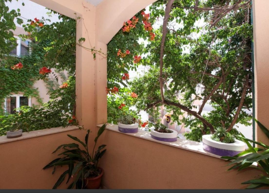 Niko Appartement Drasnice